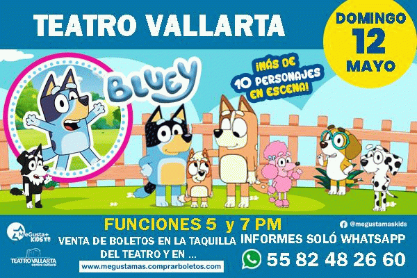 Bluey Puerto Vallarta